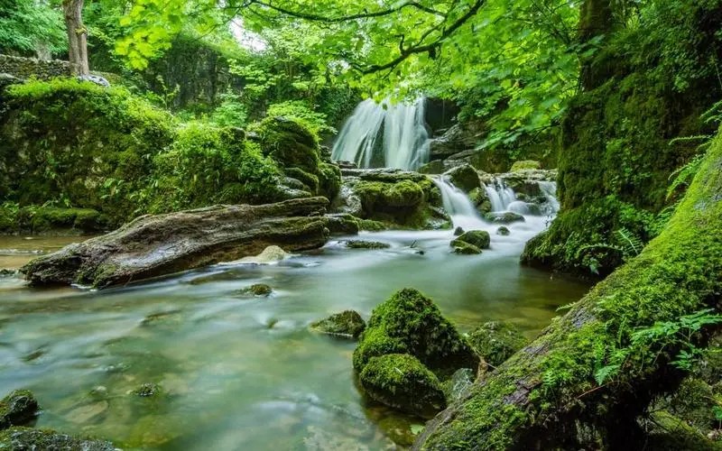 智慧高端智能系统
